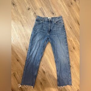 Agolde 90s Pinch Waist High Rise Straight Essence